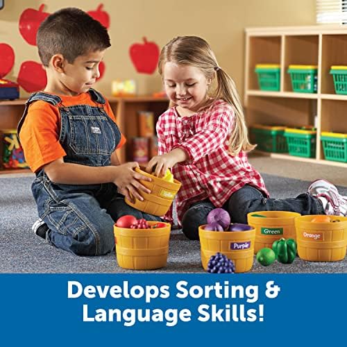 Learning Resources Farmer's Market Color Sorting Set - Play Food for Kids, Toddler Learning Toys, Grocery and Kitchen Play Toys